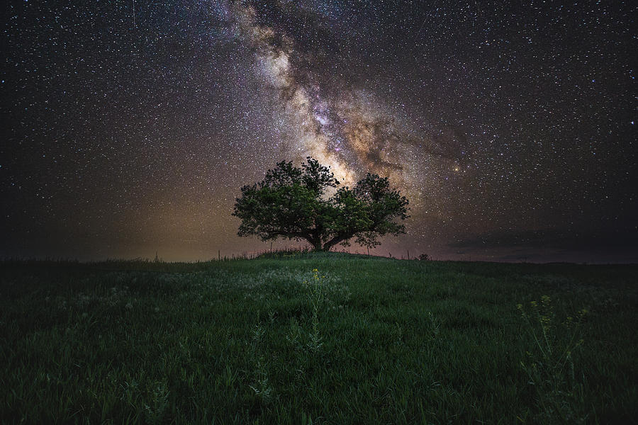 Milky Way Photograph - A Sky Full Of Stars by Aaron J Groen