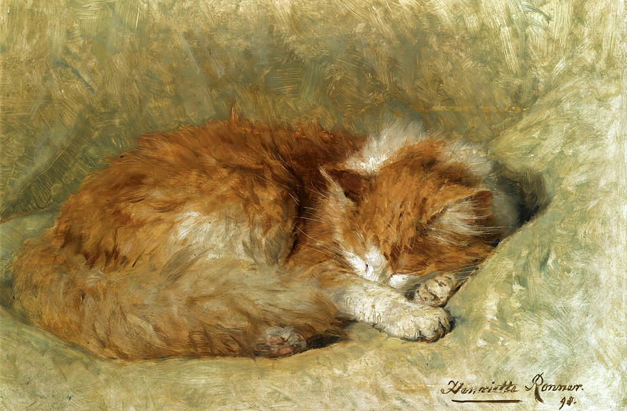 A sleeping cat Painting by Henriette Ronner-Knip