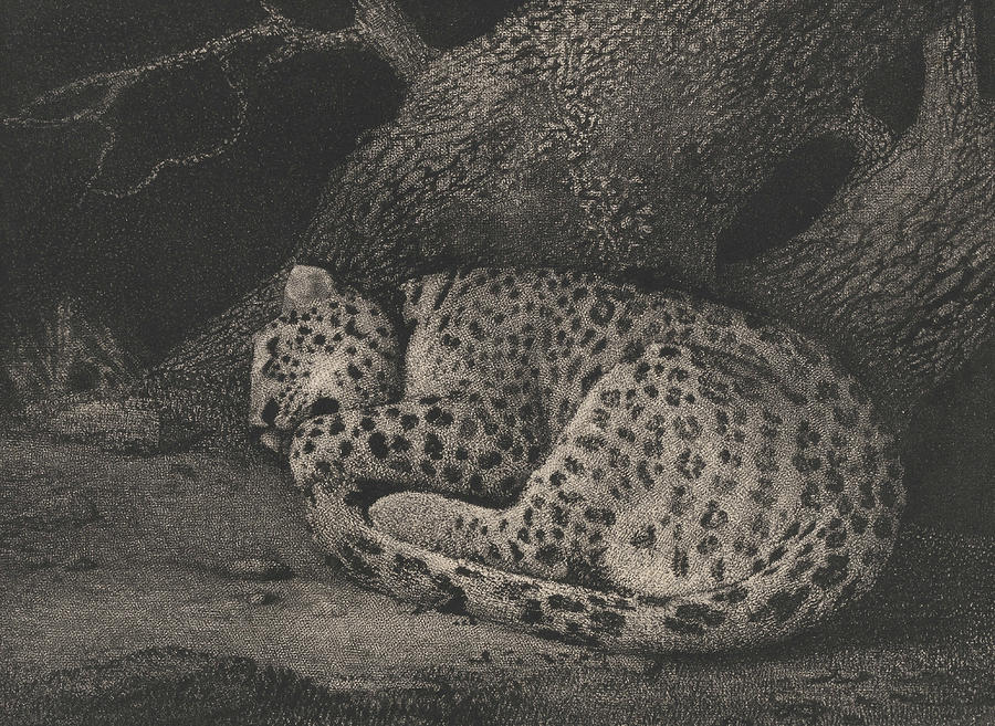 A Sleeping Leopard Relief by George Stubbs