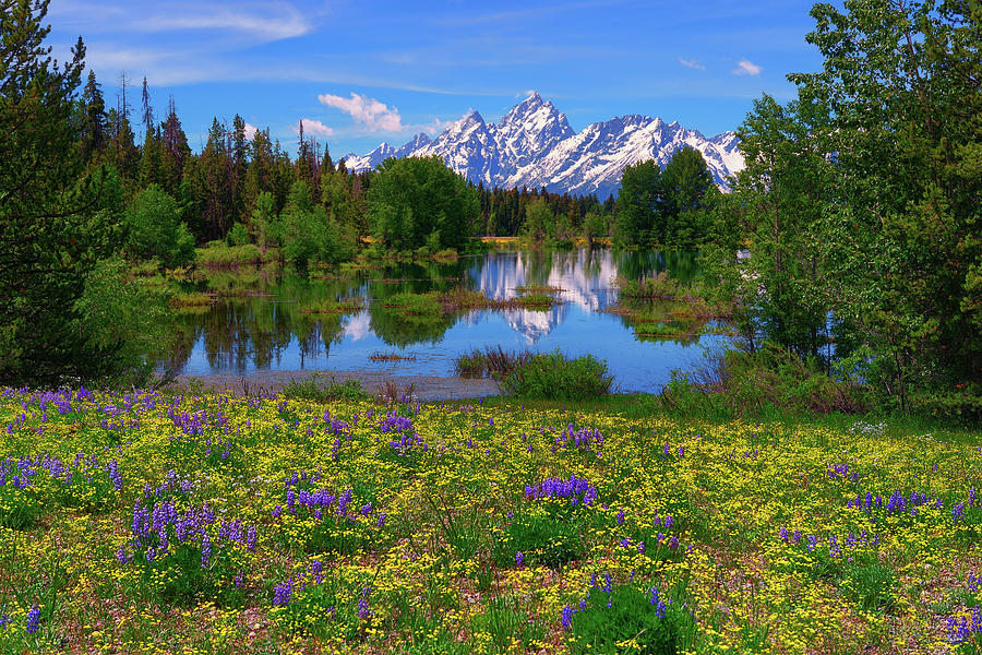 Grand Teton National Park Photograph - A Slice of Heaven by Greg Norrell