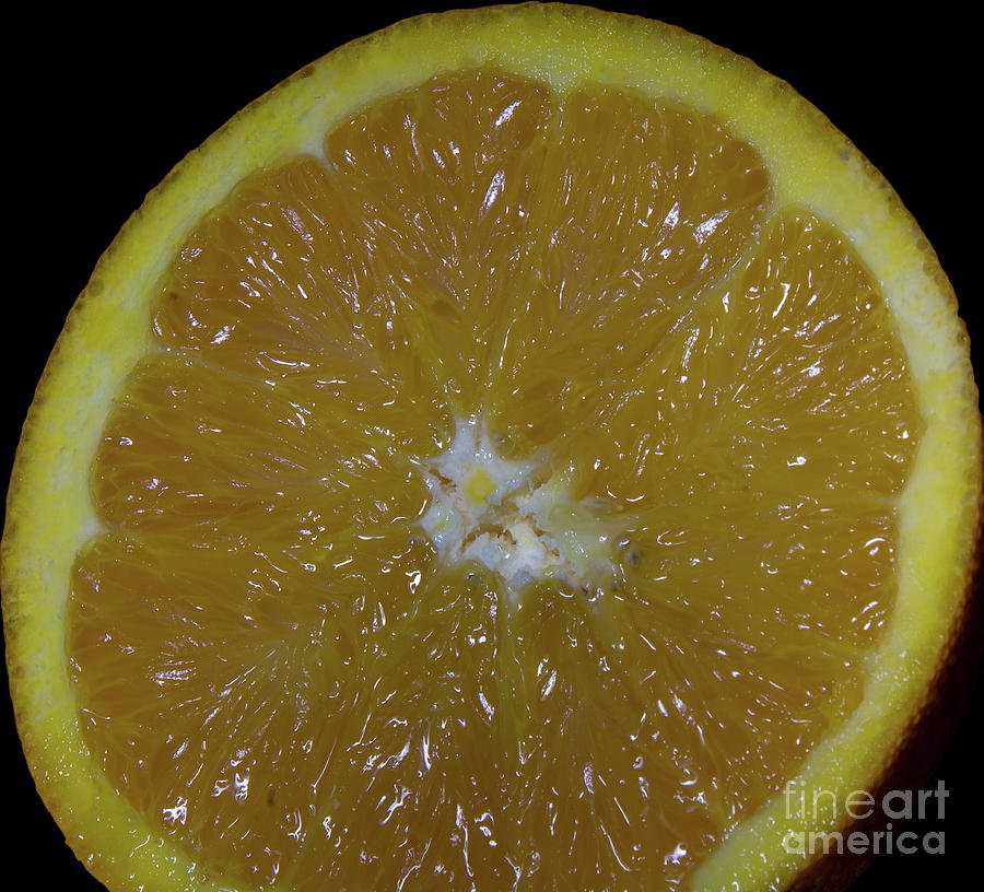 A Slice of Orange Photograph by Deborah Klubertanz