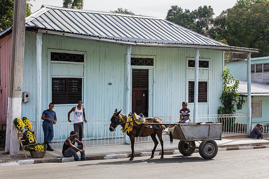 A Slower Pace Photograph by Dawn Currie A Slower Pace Photograph by Dawn Currie