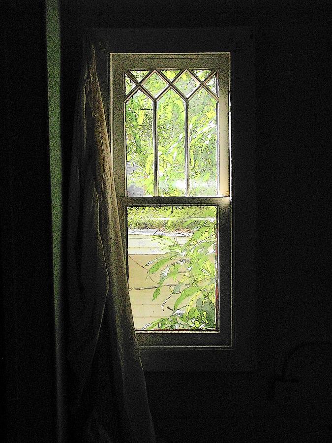 Have You Ever Walked Through A Window Photograph by Strangefire Art Scylla Liscombe