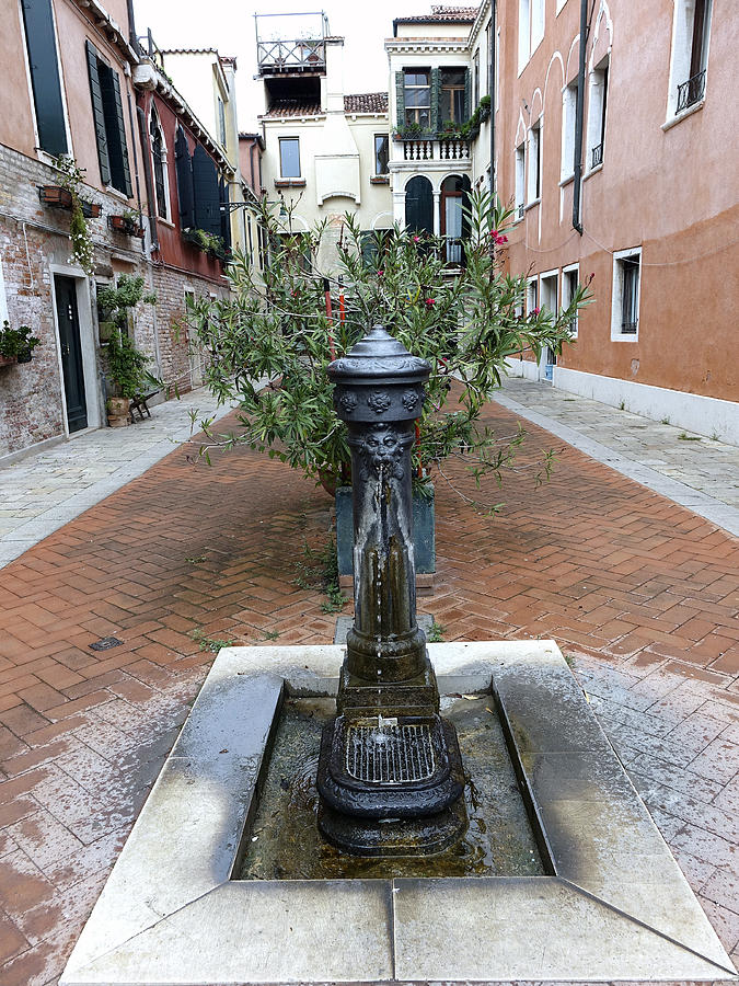 A Small Public Fountain In Venice Italy Photograph by Rick Rosenshein