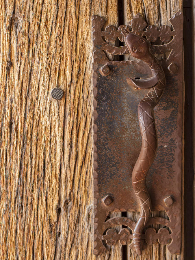 A Snake on the Door Photograph by Jean Noren