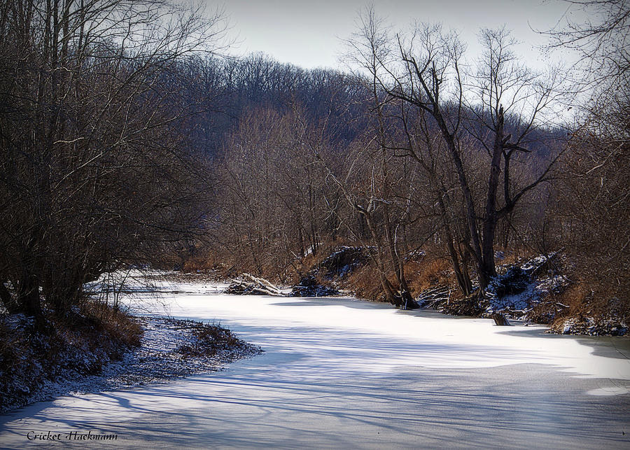 A Snowy Cedar Creek Photograph by Cricket Hackmann