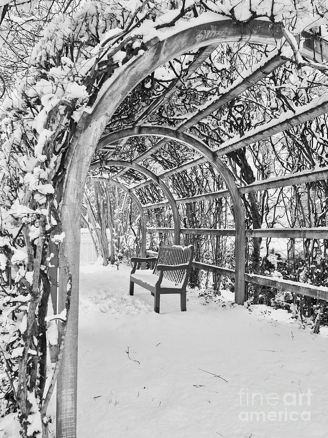 A Snowy Garden Arbor  Photograph by Rachel Morrison