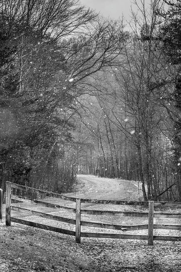 A Snowy Lane Photograph by Randall Evans