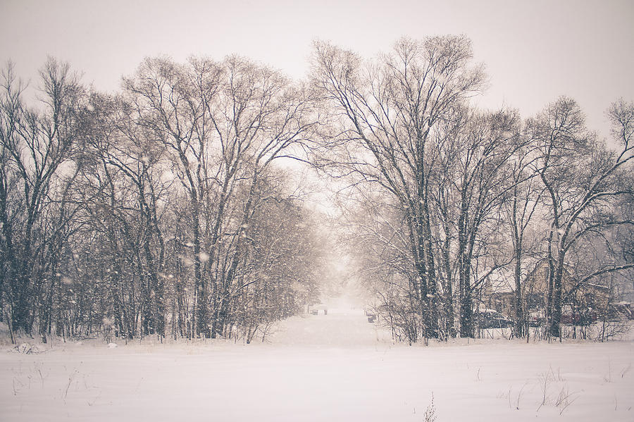A Snowy Monday Photograph by Viviana  Nadowski