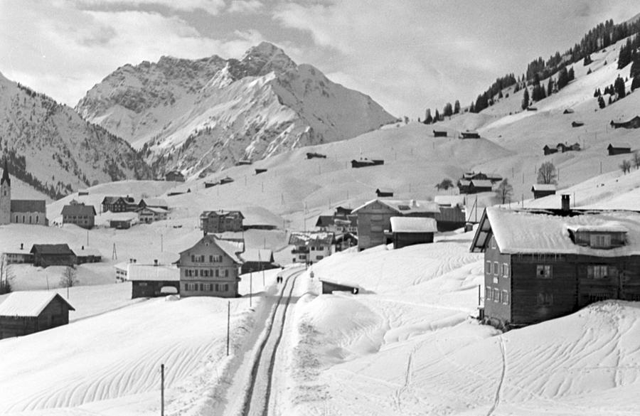 A snowy winter landscape Photograph by German School