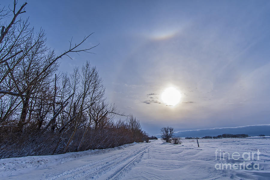 Winter Photograph - A Solar Halo Around The Sun At The End by Alan Dyer