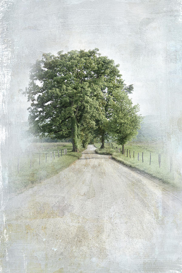 Landscape Photograph - A Solitary Road by Jai Johnson