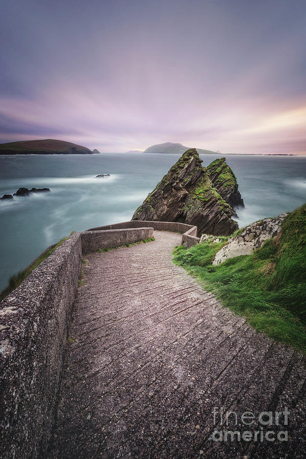 A Song For Ireland Photograph by Evelina Kremsdorf