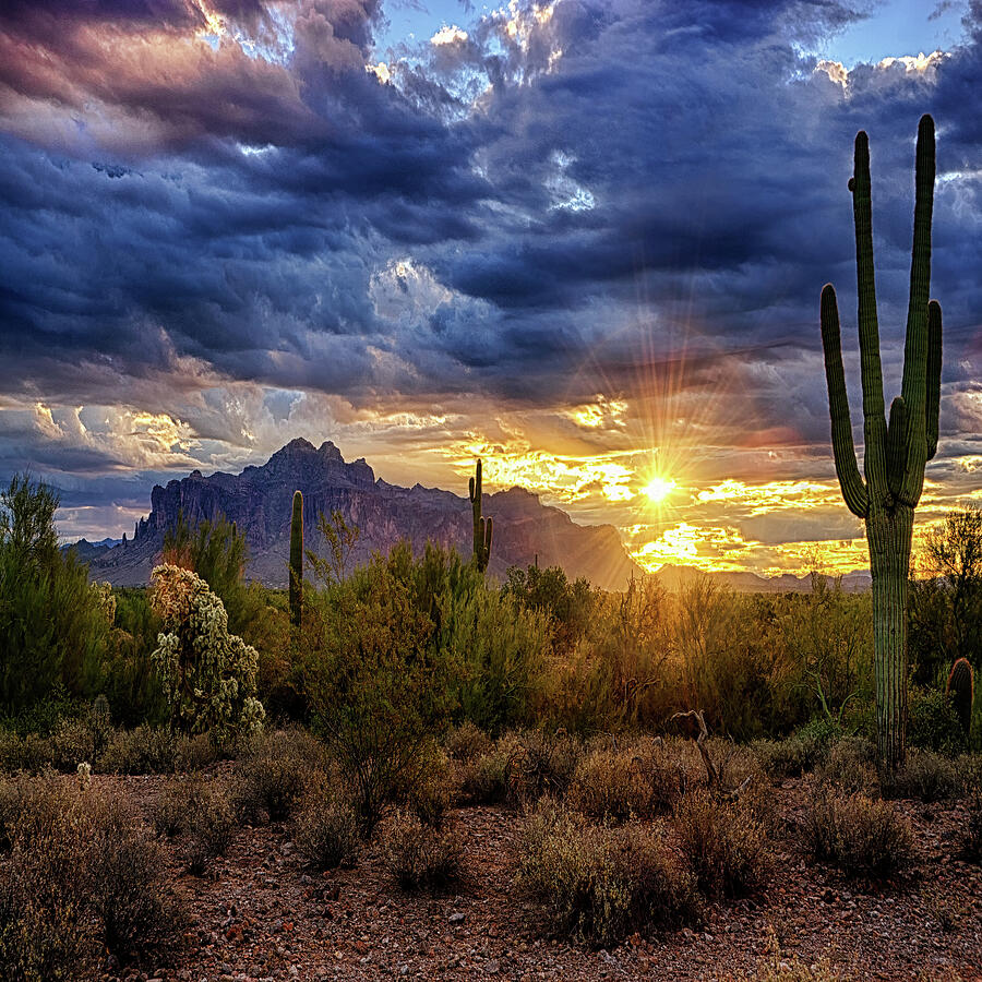 A Sonoran Desert Sunrise - Square Photograph by Saija Lehtonen - Pixels