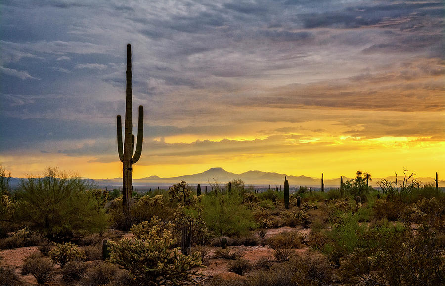 A Sonoran Summer Sunset  Photograph by Saija Lehtonen