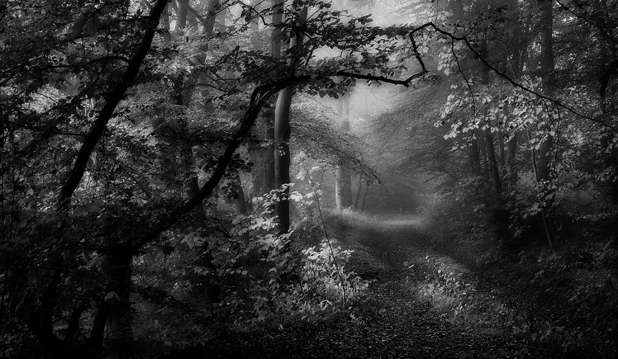 Black And White Photograph - A Sorrow Beyond Dreams by Norbert Maier
