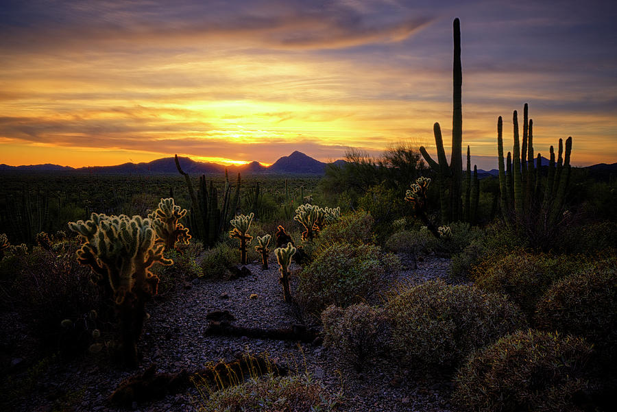 A Southern Arizona Sunset  Photograph by Saija Lehtonen