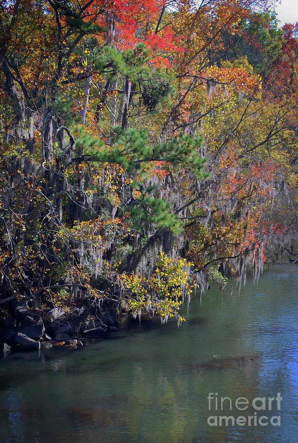 A Southern Fall Photograph by Skip Willits
