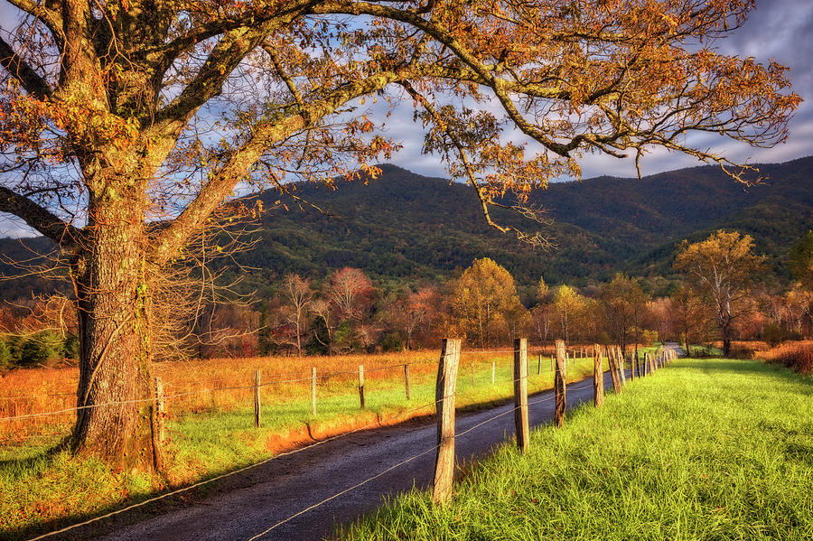 A Special Autumn at Cades Cove Photograph by Debra and Dave Vanderlaan