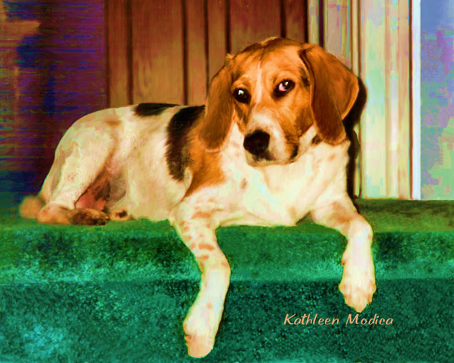 A Special Beagle Photograph by Kathleen Modica