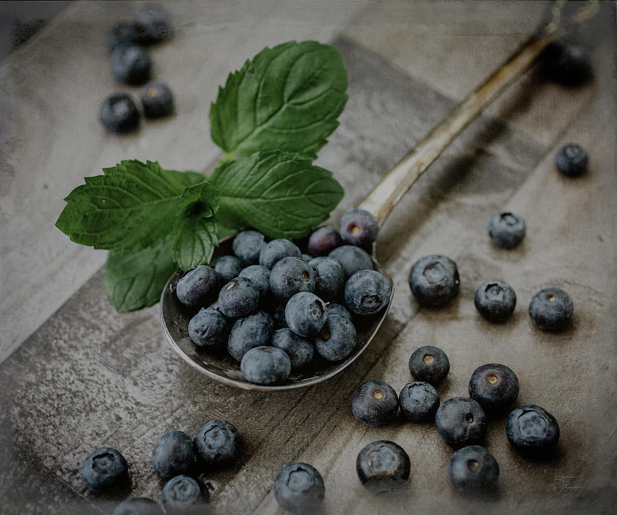 A Spoonful of Blueberries Photograph by Teresa Wilson