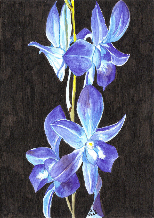 Flower Painting - A Spray of Orchids by Alexis Grone