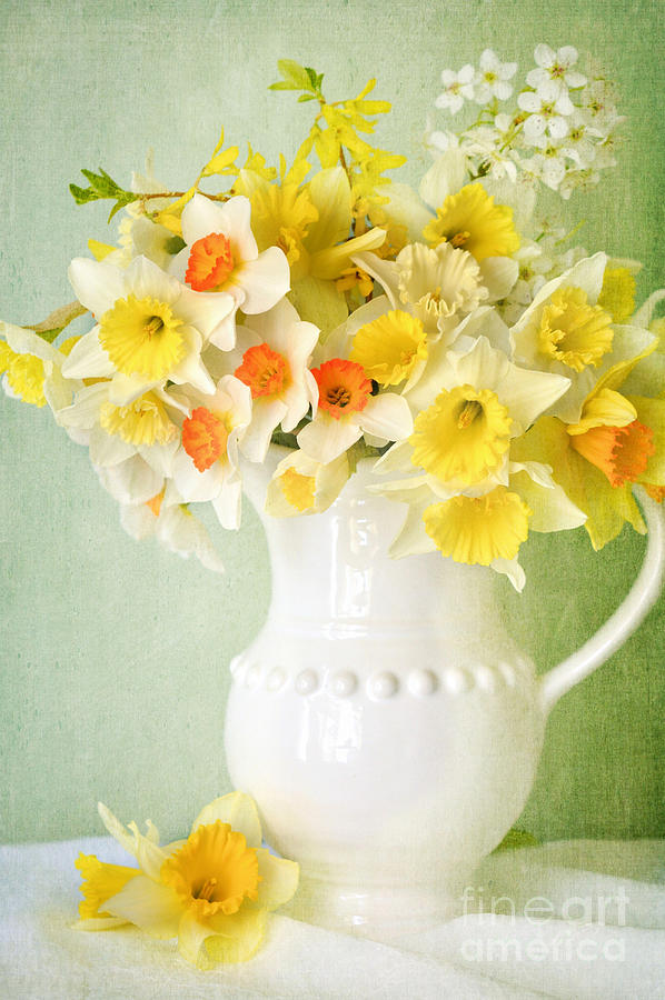 A Spring Bouquet... Photograph by Dianne Sherrill