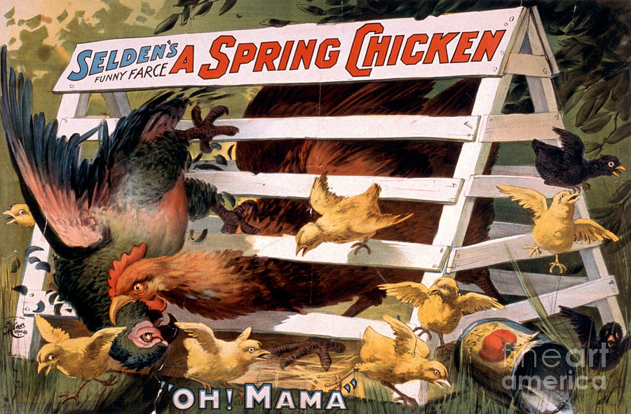 Chicken Painting - A Spring Chicken Farm Decor by Edward Fielding