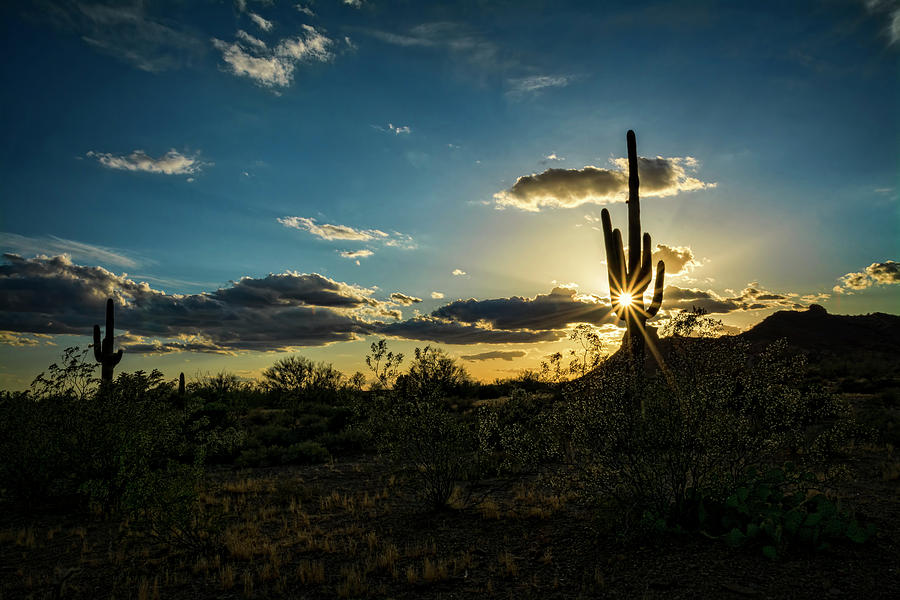 A Spring Desert Sunset  Photograph by Saija Lehtonen