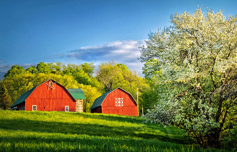 A Spring Evening in the Country Photograph by Carolyn Derstine