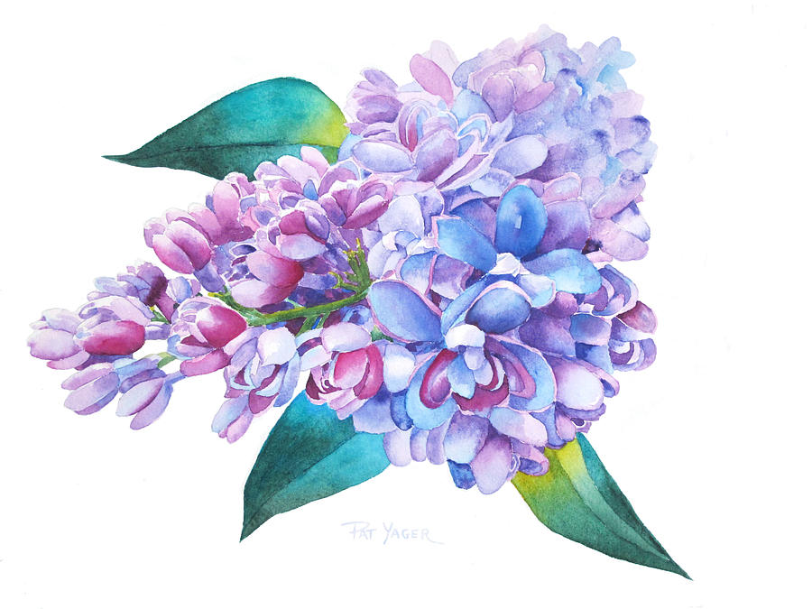 Spring Painting - A Springtime Flourish by Pat Yager