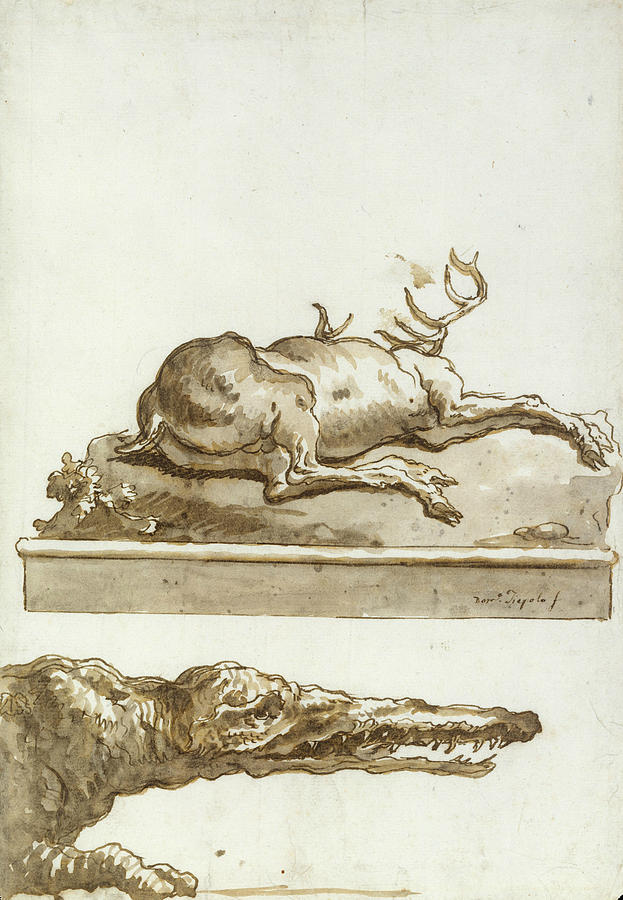 A Stag Lying Down, The Head of a Crocodile Drawing by Giovanni Domenico Tiepolo