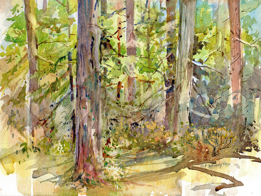 A Stand of Trees Painting by P Anthony Visco
