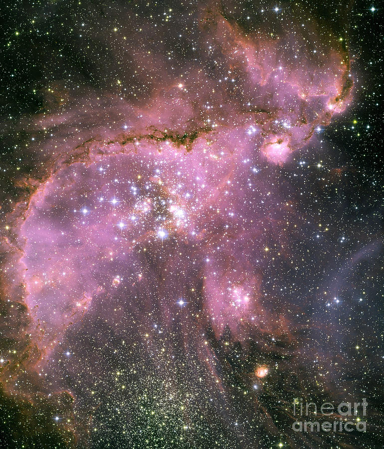A Star-forming Region In The Small Photograph by Stocktrek Images
