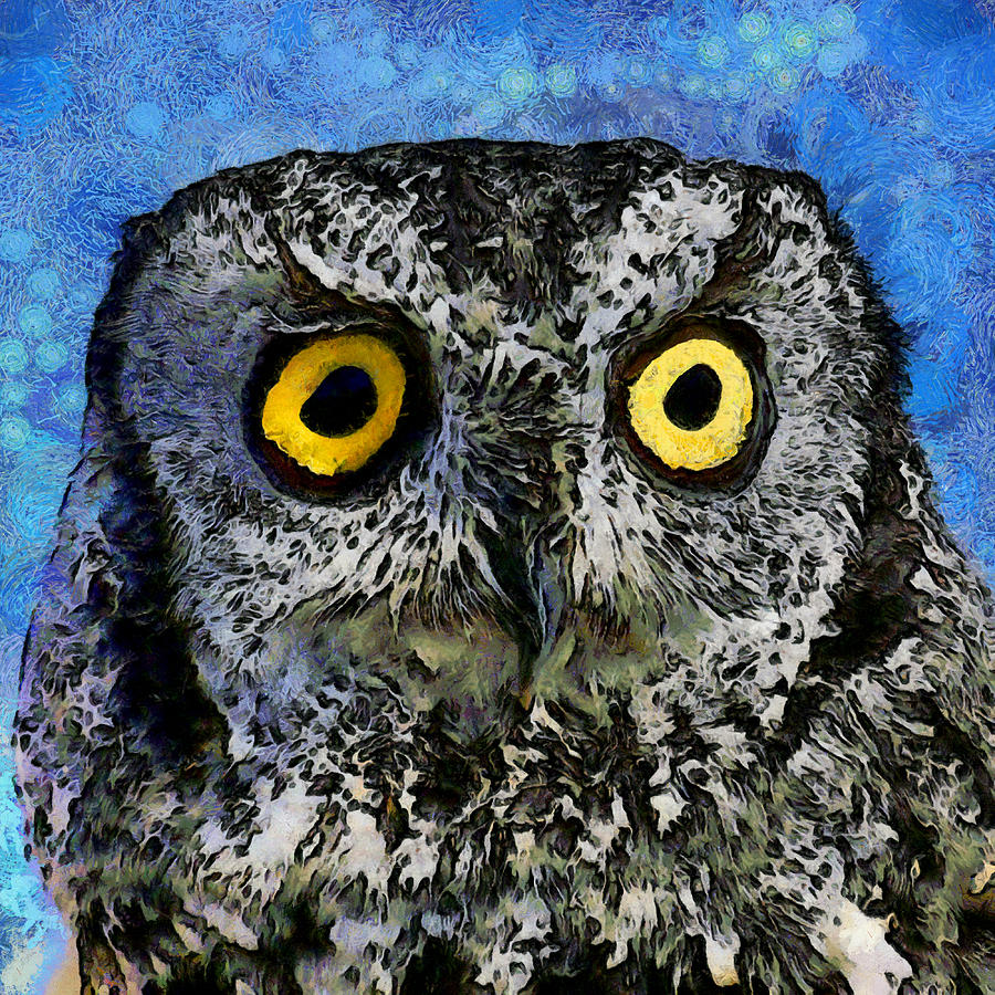 A Starry Night Owl Digital Art by Ernest Echols