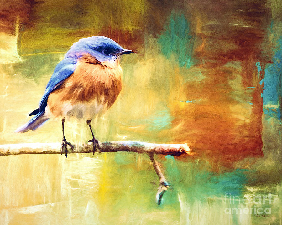 Bluebird Photograph - A Still Mind by Tina LeCour Bluebird Photograph - A Still Mind by Tina LeCour