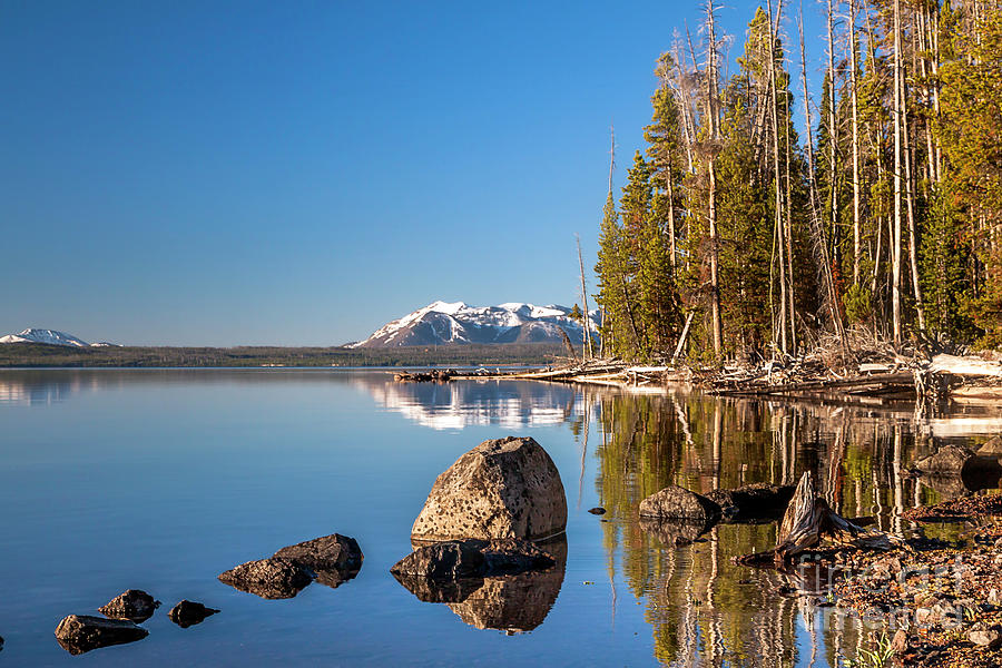 A still morning on Yellowstone Lake Photograph by Daryl L Hunter - Fine ...