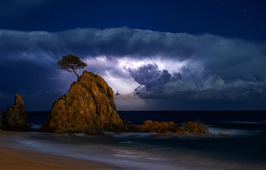 Landscape Photograph - A Storm Behind The Pine by Jordi Ferre