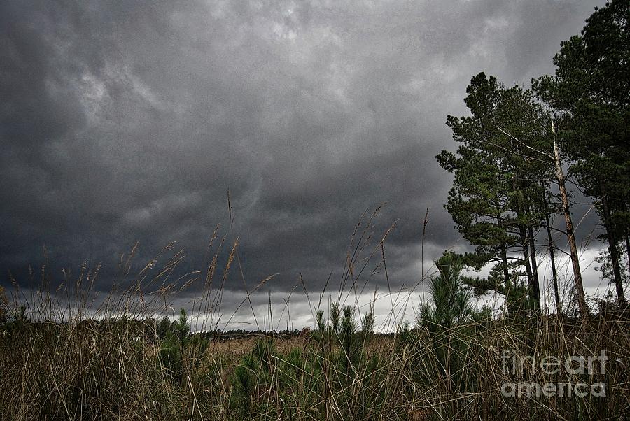 A Stormy Day Photograph by Skip Willits