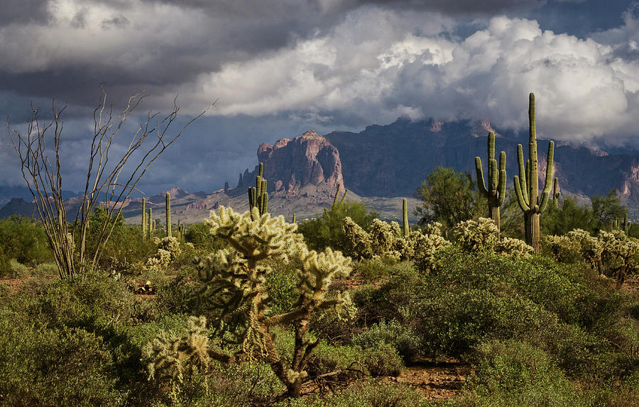 A Stormy Sonoran Day  Photograph by Saija Lehtonen