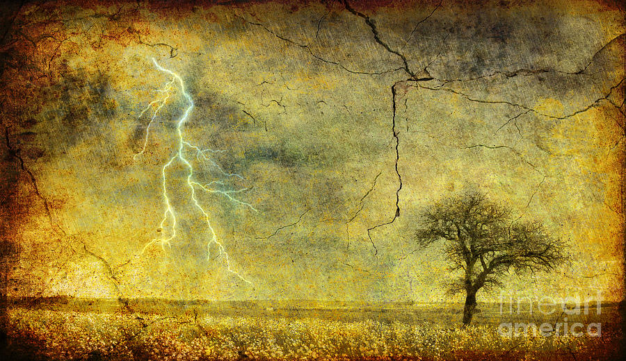 Spring Photograph - A stormy Spring by Silvia Ganora