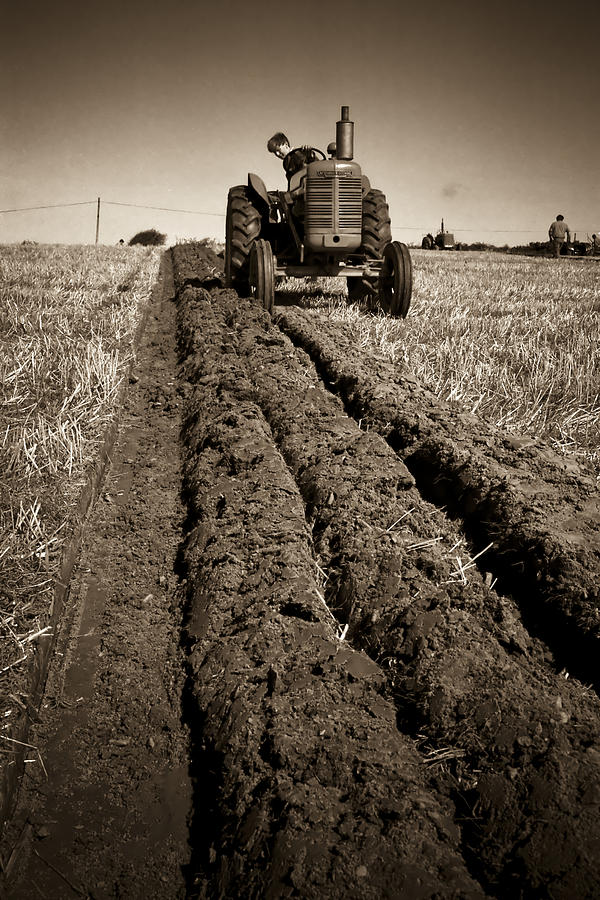 A Straight Furrow Photograph by Peter OReilly