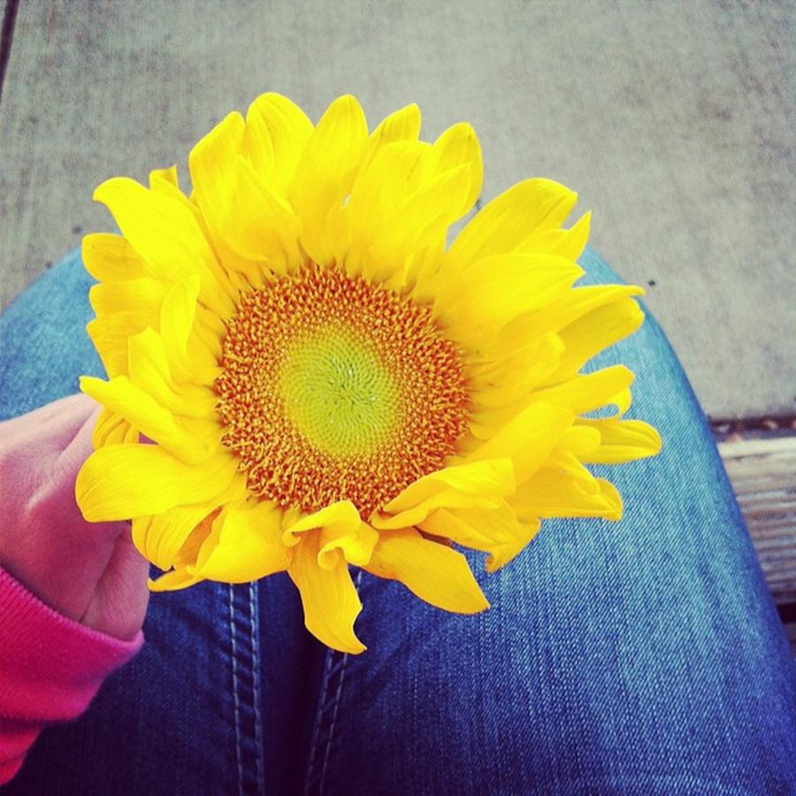 Act Of Kindness Photograph - Kindness in a Sunflower by Keely Prendergast