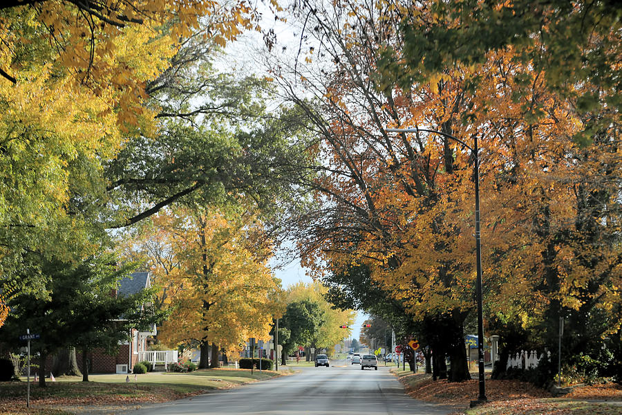 A Street In Shelbyville Il Photograph