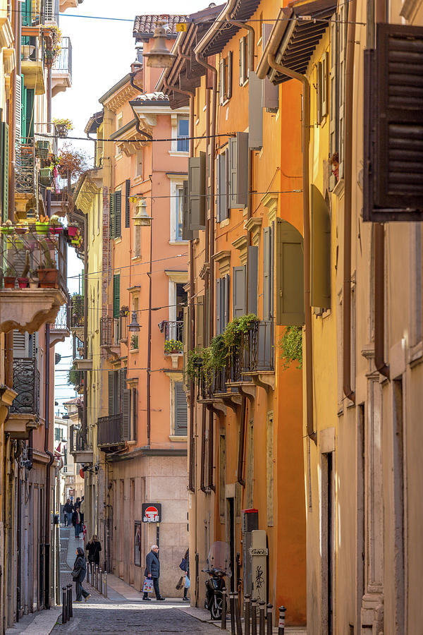 A Street in Verona Photograph by W Chris Fooshee
