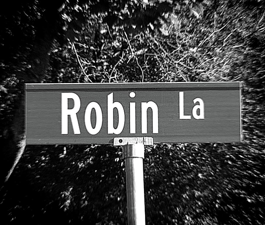 Robin Photograph - RO - A Street Sign Named Robin by Jenifer West