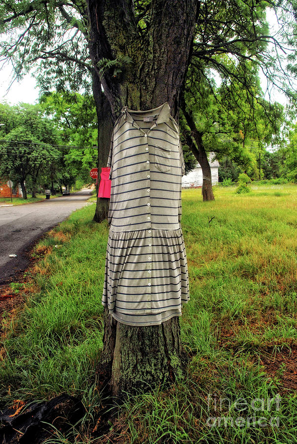 Tree Photograph - A Black and White Striped Dress by Walter Neal
