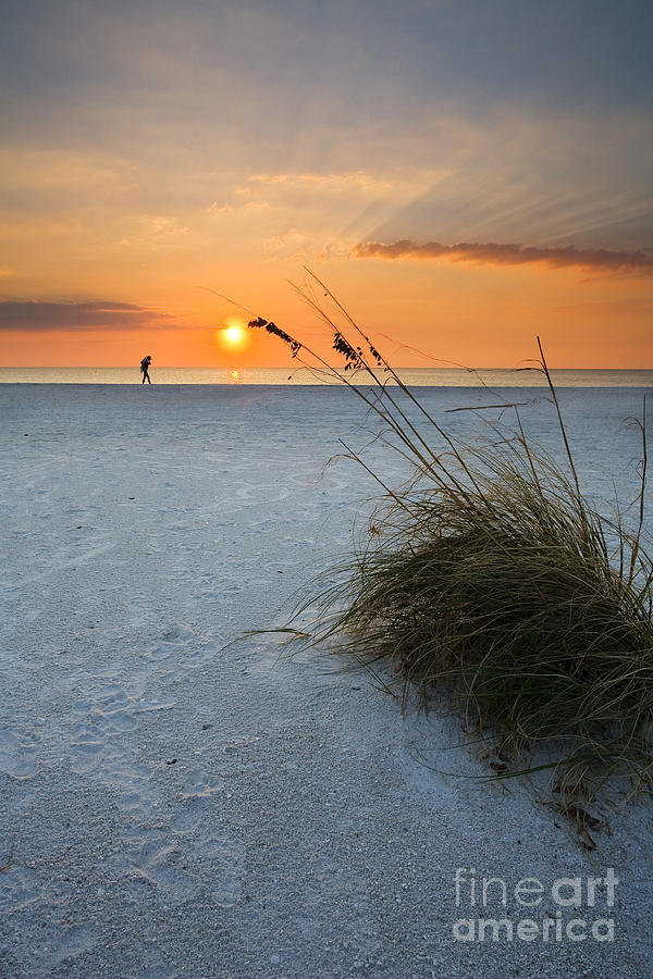 Sunset Photograph - A Stroll on the Beach by Michael Dawson