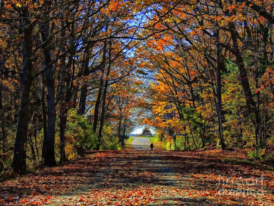 A Stroll Through Autumn Colors Photograph by Marcia Lee Jones