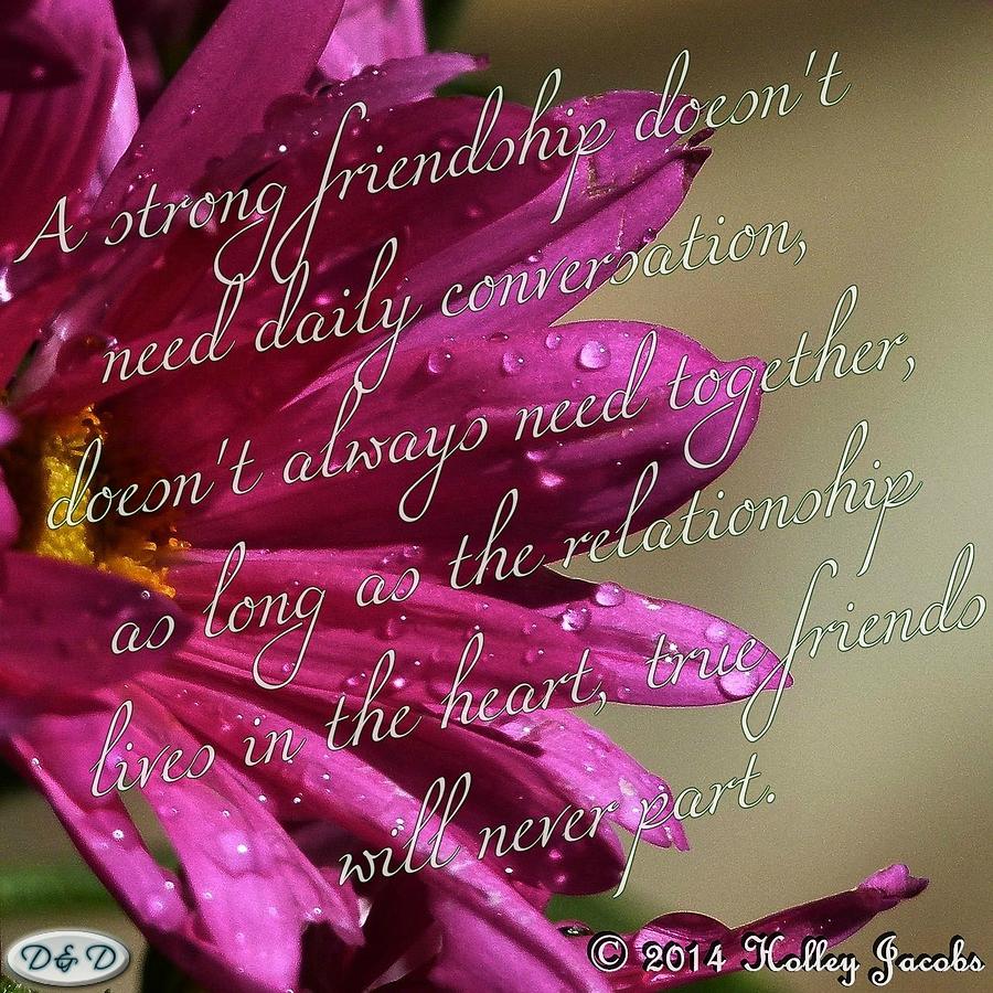 Quotes Digital Art - A Strong Friendship by Holley Jacobs
